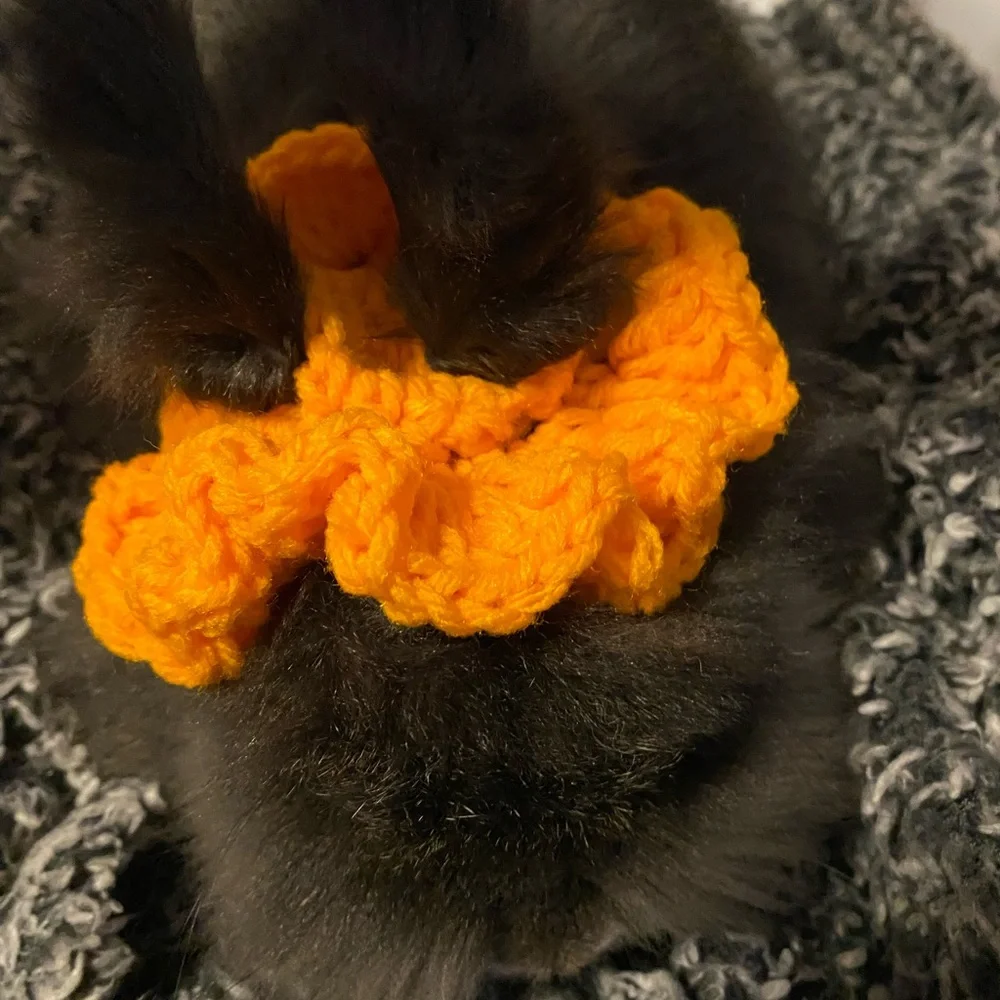 Orange Pet Accessory for Small Pets